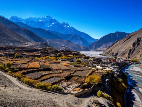Nepal Wellness