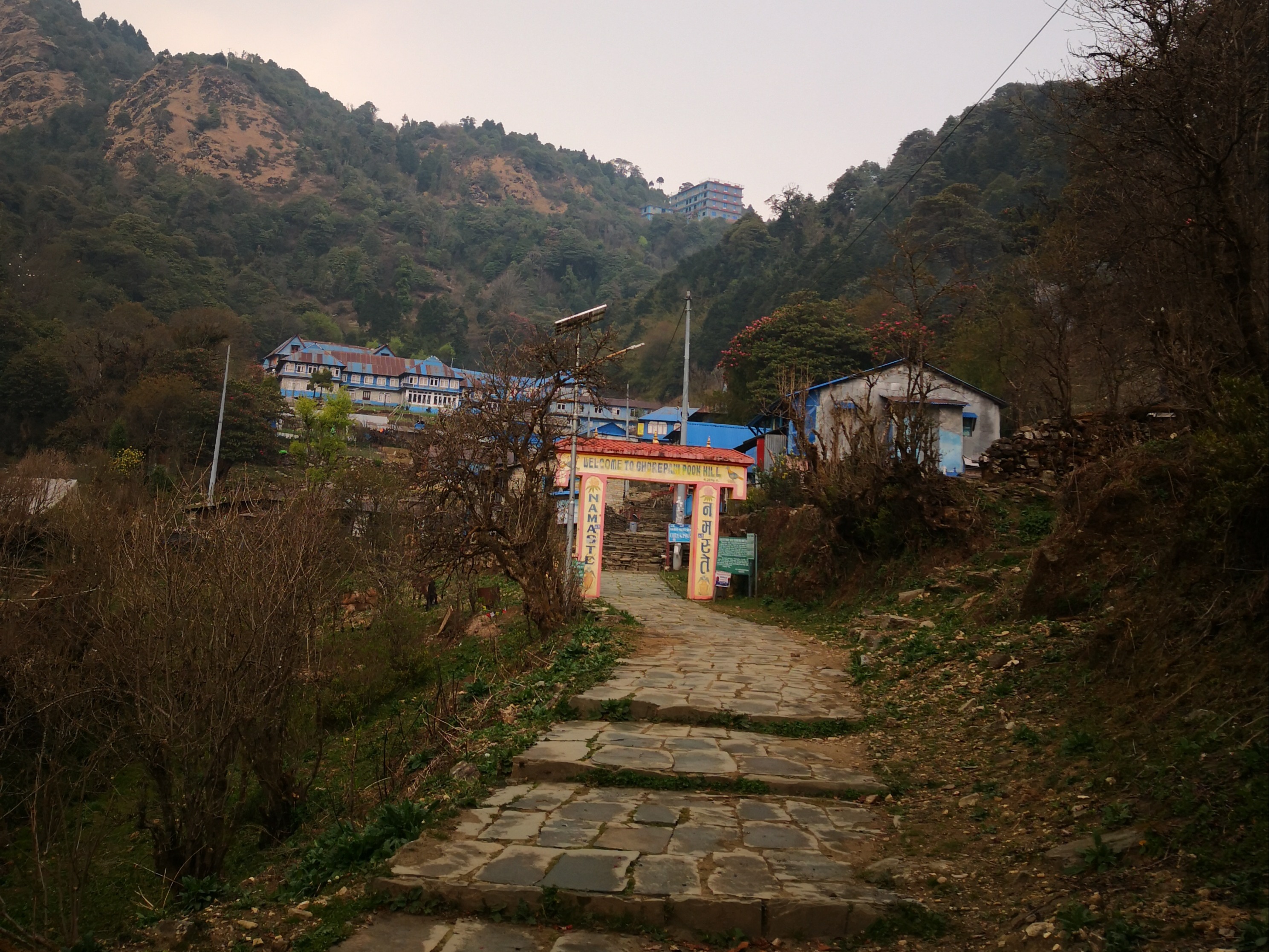 Poon Hill Panorama Trek; Rhododendrons & Himalayan Sunrises photo 2