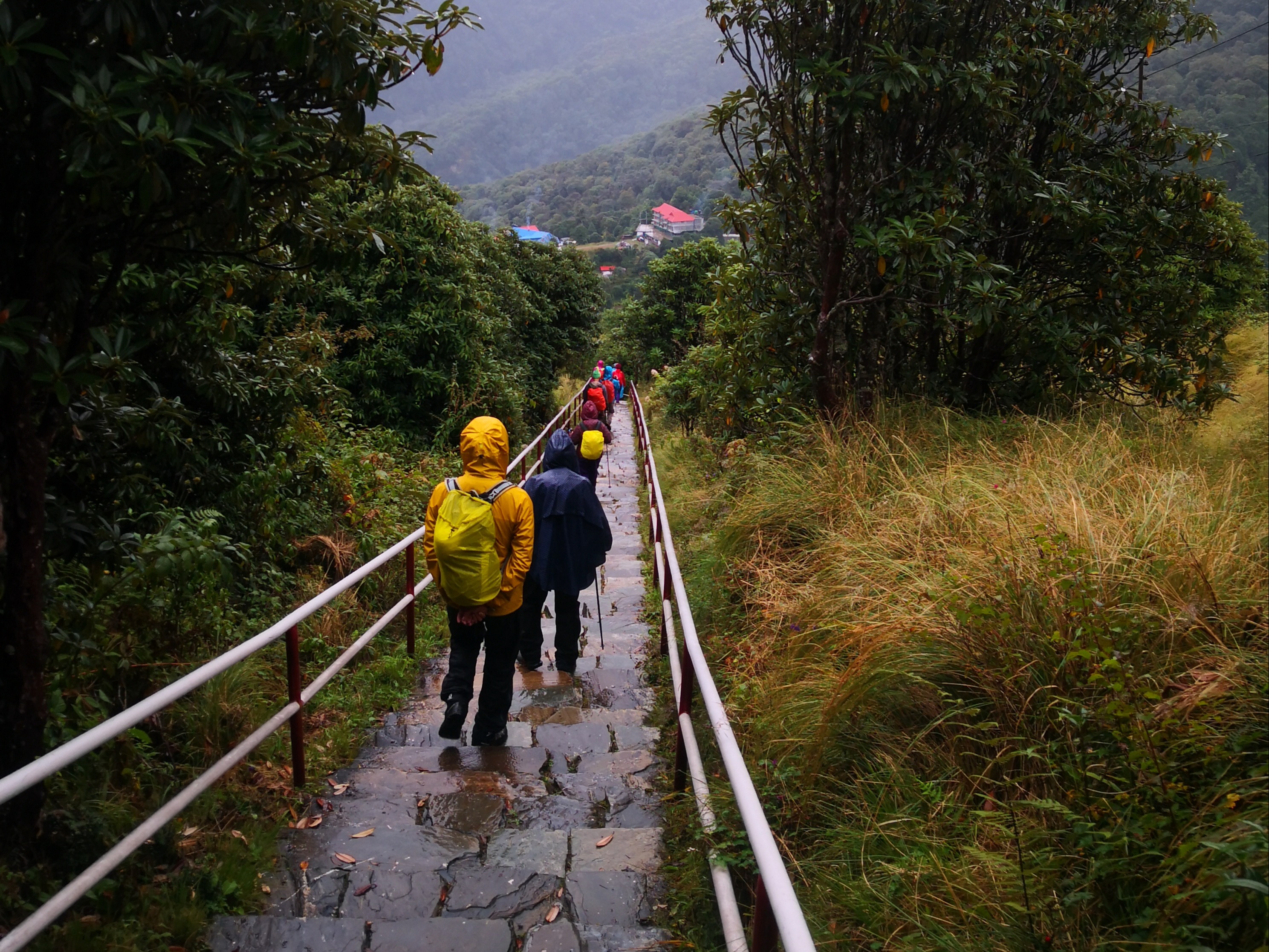 Poon Hill Panorama Trek; Rhododendrons & Himalayan Sunrises photo 4