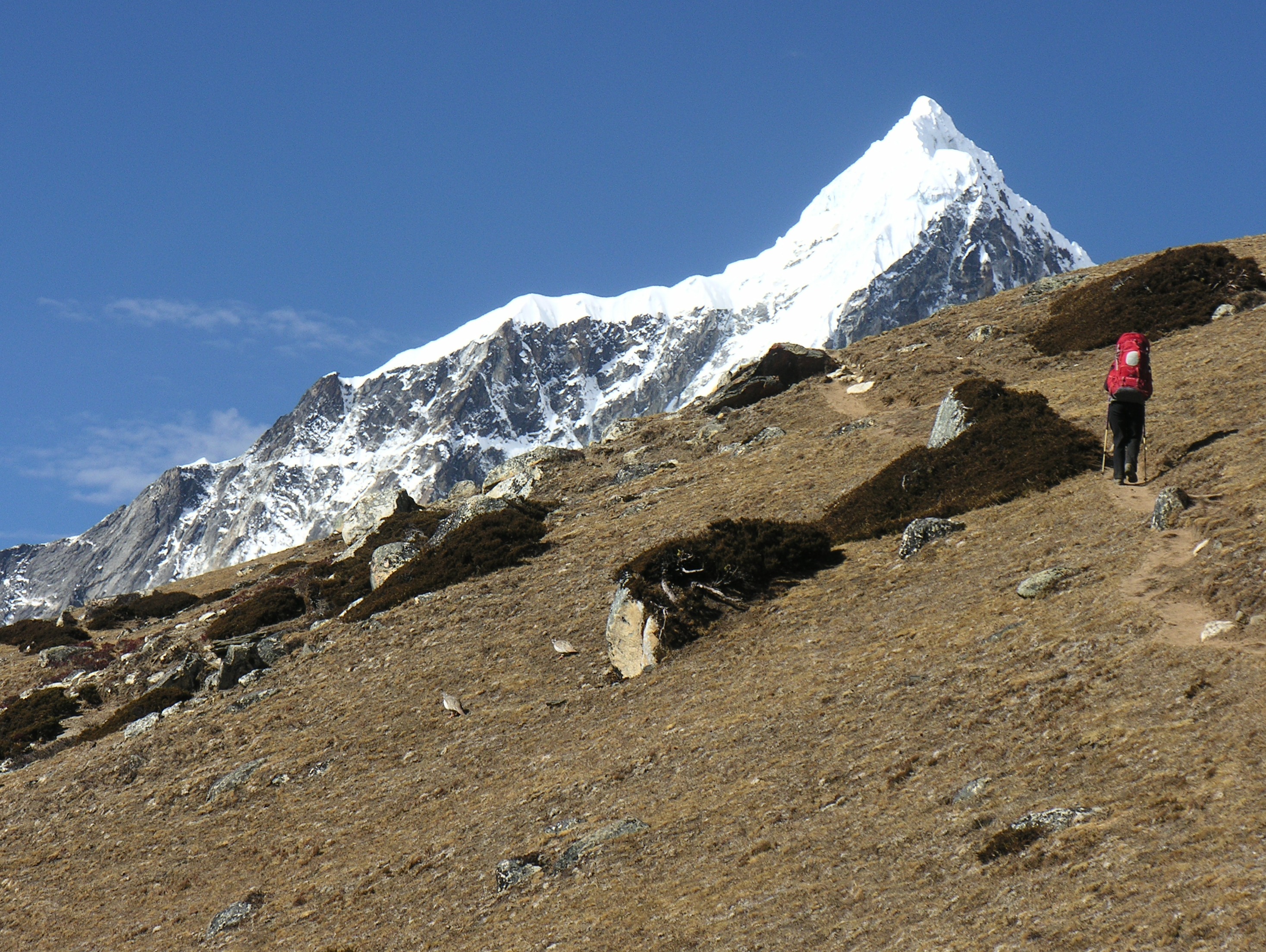 Pokalde Peak Climbing photo 2